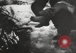 Image of war victims Europe, 1946, second 4 stock footage video 65675063149