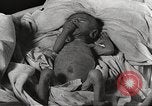 Image of war victims Europe, 1946, second 50 stock footage video 65675063149