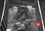 Image of war victims Europe, 1946, second 57 stock footage video 65675063149