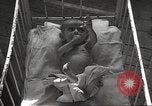 Image of war victims Europe, 1946, second 58 stock footage video 65675063149