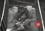 Image of war victims Europe, 1946, second 59 stock footage video 65675063149