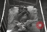 Image of war victims Europe, 1946, second 60 stock footage video 65675063149