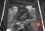 Image of war victims Europe, 1946, second 61 stock footage video 65675063149