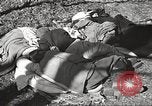 Image of Jewish prisoners Europe, 1945, second 12 stock footage video 65675063150