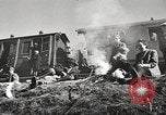 Image of Jewish prisoners Europe, 1945, second 18 stock footage video 65675063150