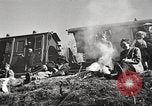 Image of Jewish prisoners Europe, 1945, second 20 stock footage video 65675063150