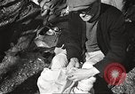 Image of Jewish prisoners Europe, 1945, second 41 stock footage video 65675063150