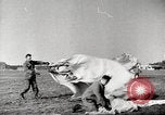 Immagine di Il tedesco paratroop soldati in formazione Germania, 1939, secondo 36 filmato di repertorio 65675063155