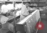 Immagine di Fabbricazione di Esercito Tedesco paracaduti seconda guerra mondiale Germania, 1939, secondo 59 filmato di repertorio 65675063156