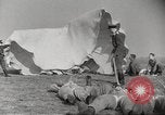 Image of German paratroopers learn landing Germany, 1939, second 45 stock footage video 65675063157