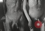 Standbild Kz Flossenbürg ausgemergelten Gefangenen Flossenburg Deutschland, 1945, aus Sekunde 32 historischem Filmmaterial Videoclip 65675063163