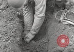 Standbild slave Arbeitslager Flossenburg Deutschland, 1945, aus Sekunde 50 historischem Filmmaterial Videoclip 65675063166