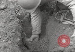 Standbild slave Arbeitslager Flossenburg Deutschland, 1945, aus Sekunde 51 historischem Filmmaterial Videoclip 65675063166