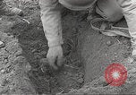 Standbild slave Arbeitslager Flossenburg Deutschland, 1945, aus Sekunde 57 historischem Filmmaterial Videoclip 65675063166