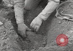 Standbild slave Arbeitslager Flossenburg Deutschland, 1945, aus Sekunde 60 historischem Filmmaterial Videoclip 65675063166