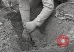 Standbild slave Arbeitslager Flossenburg Deutschland, 1945, aus Sekunde 62 historischem Filmmaterial Videoclip 65675063166