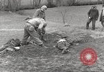 Image Le camp de concentration de Flossenbürg victimes d'atrocité Flossenburg Allemagne, 1945, de la seconde 10 séquences d'archives historiques vidéo 65675063167