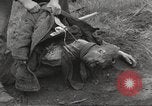 Image Le camp de concentration de Flossenbürg victimes d'atrocité Flossenburg Allemagne, 1945, de la seconde 20 séquences d'archives historiques vidéo 65675063167