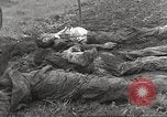 Image Le camp de concentration de Flossenbürg victimes d'atrocité Flossenburg Allemagne, 1945, de la seconde 42 séquences d'archives historiques vidéo 65675063167
