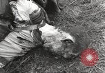 Image Le camp de concentration de Flossenbürg victimes d'atrocité Flossenburg Allemagne, 1945, de la seconde 43 séquences d'archives historiques vidéo 65675063167