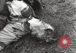 Image Le camp de concentration de Flossenbürg victimes d'atrocité Flossenburg Allemagne, 1945, de la seconde 44 séquences d'archives historiques vidéo 65675063167