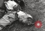 Image Le camp de concentration de Flossenbürg victimes d'atrocité Flossenburg Allemagne, 1945, de la seconde 45 séquences d'archives historiques vidéo 65675063167