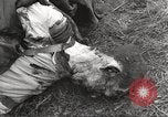 Image Le camp de concentration de Flossenbürg victimes d'atrocité Flossenburg Allemagne, 1945, de la seconde 46 séquences d'archives historiques vidéo 65675063167