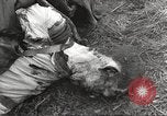 Image Le camp de concentration de Flossenbürg victimes d'atrocité Flossenburg Allemagne, 1945, de la seconde 47 séquences d'archives historiques vidéo 65675063167