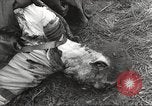 Image Le camp de concentration de Flossenbürg victimes d'atrocité Flossenburg Allemagne, 1945, de la seconde 48 séquences d'archives historiques vidéo 65675063167