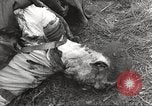 Image Le camp de concentration de Flossenbürg victimes d'atrocité Flossenburg Allemagne, 1945, de la seconde 49 séquences d'archives historiques vidéo 65675063167