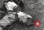 Image Le camp de concentration de Flossenbürg victimes d'atrocité Flossenburg Allemagne, 1945, de la seconde 50 séquences d'archives historiques vidéo 65675063167