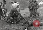 Image of victims of Flossenbürg Concentration Camp Flossenburg Germany, 1945, second 4 stock footage video 65675063168