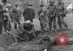 Image of victims of Flossenbürg Concentration Camp Flossenburg Germany, 1945, second 7 stock footage video 65675063168