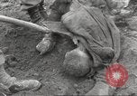 Image of victims of Flossenbürg Concentration Camp Flossenburg Germany, 1945, second 24 stock footage video 65675063168