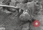 Image of victims of Flossenbürg Concentration Camp Flossenburg Germany, 1945, second 25 stock footage video 65675063168