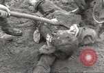 Image of victims of Flossenbürg Concentration Camp Flossenburg Germany, 1945, second 27 stock footage video 65675063168