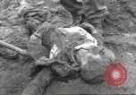 Image of victims of Flossenbürg Concentration Camp Flossenburg Germany, 1945, second 30 stock footage video 65675063168
