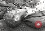Image of victims of Flossenbürg Concentration Camp Flossenburg Germany, 1945, second 32 stock footage video 65675063168