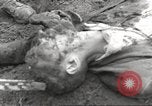 Image of victims of Flossenbürg Concentration Camp Flossenburg Germany, 1945, second 33 stock footage video 65675063168