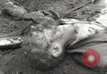 Image of victims of Flossenbürg Concentration Camp Flossenburg Germany, 1945, second 35 stock footage video 65675063168