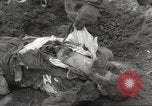 Image of victims of Flossenbürg Concentration Camp Flossenburg Germany, 1945, second 37 stock footage video 65675063168
