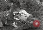 Image of victims of Flossenbürg Concentration Camp Flossenburg Germany, 1945, second 38 stock footage video 65675063168