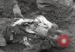 Image of victims of Flossenbürg Concentration Camp Flossenburg Germany, 1945, second 40 stock footage video 65675063168