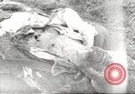 Image of victims of Flossenbürg Concentration Camp Flossenburg Germany, 1945, second 43 stock footage video 65675063168