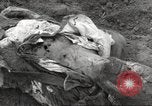 Image of victims of Flossenbürg Concentration Camp Flossenburg Germany, 1945, second 45 stock footage video 65675063168
