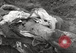 Image of victims of Flossenbürg Concentration Camp Flossenburg Germany, 1945, second 46 stock footage video 65675063168