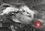 Image of victims of Flossenbürg Concentration Camp Flossenburg Germany, 1945, second 47 stock footage video 65675063168