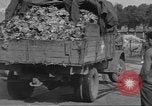 Standbild Vertriebene Wetzlar Deutschland, 1945, aus Sekunde 13 historischem Filmmaterial Videoclip 65675063173