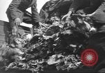 Standbild Vertriebene Wetzlar Deutschland, 1945, aus Sekunde 30 historischem Filmmaterial Videoclip 65675063173