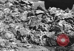 Standbild Vertriebene Wetzlar Deutschland, 1945, aus Sekunde 33 historischem Filmmaterial Videoclip 65675063173